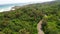 Aerial view of road in beautiful green forest and sea coastÃ‚Â 